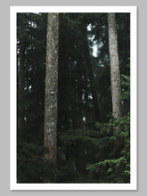 Load image into Gallery viewer, Cathedral Gates