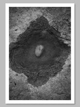 Load image into Gallery viewer, Belonging