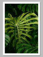 Load image into Gallery viewer, Glistening Monster